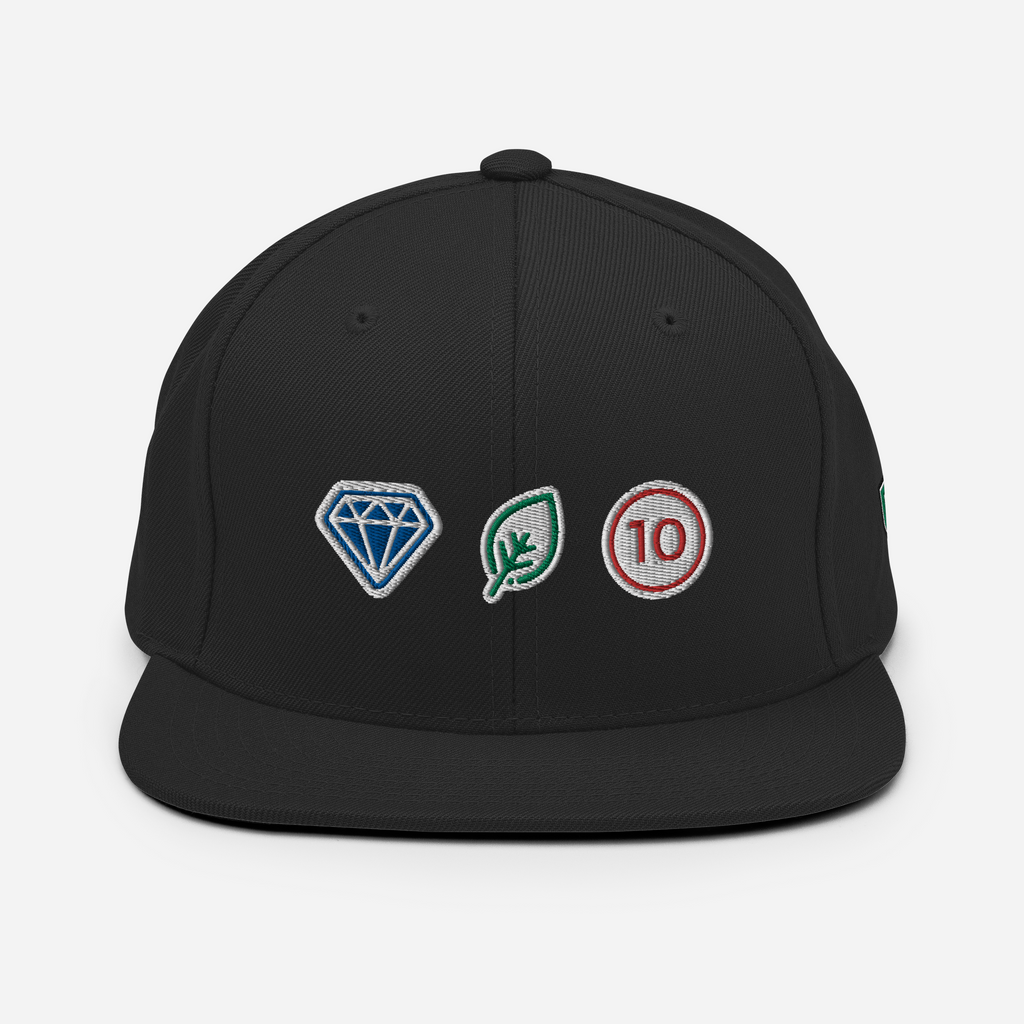 Gem Mint 10 - Snapback Hat