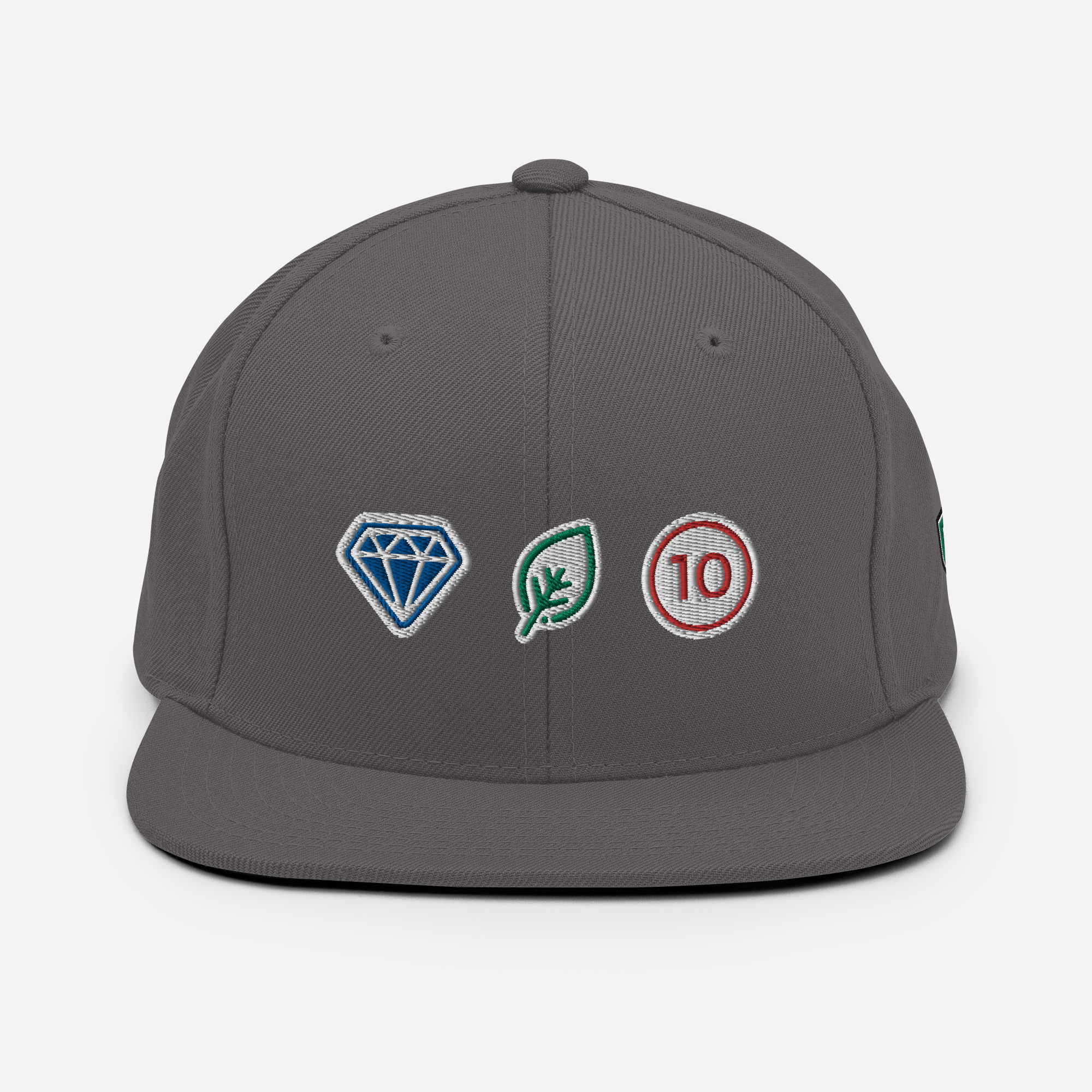 Gem Mint 10 - Snapback Hat